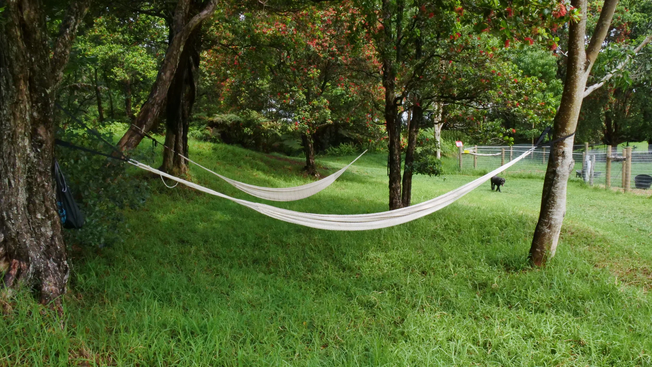 Ahulani Estate, Hawaii — the retreat sanctuary